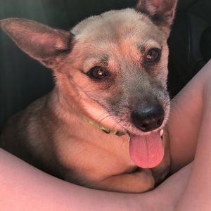 Meet your Posher, Brittney